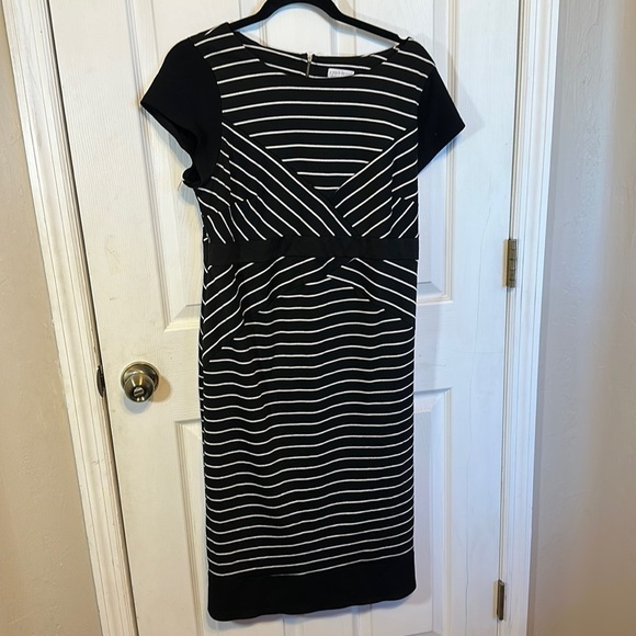 A Pea in the Pod Striped Dress - Picture 1 of 5